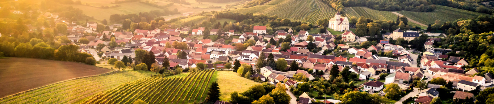     Winegrowing area Falkenstein 